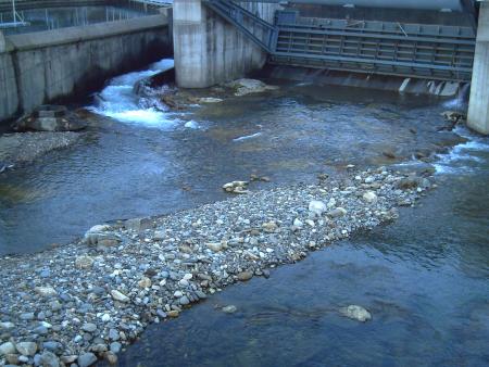 Re: El Chupóptero Acuático
